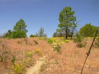 Hiking in Bandelier